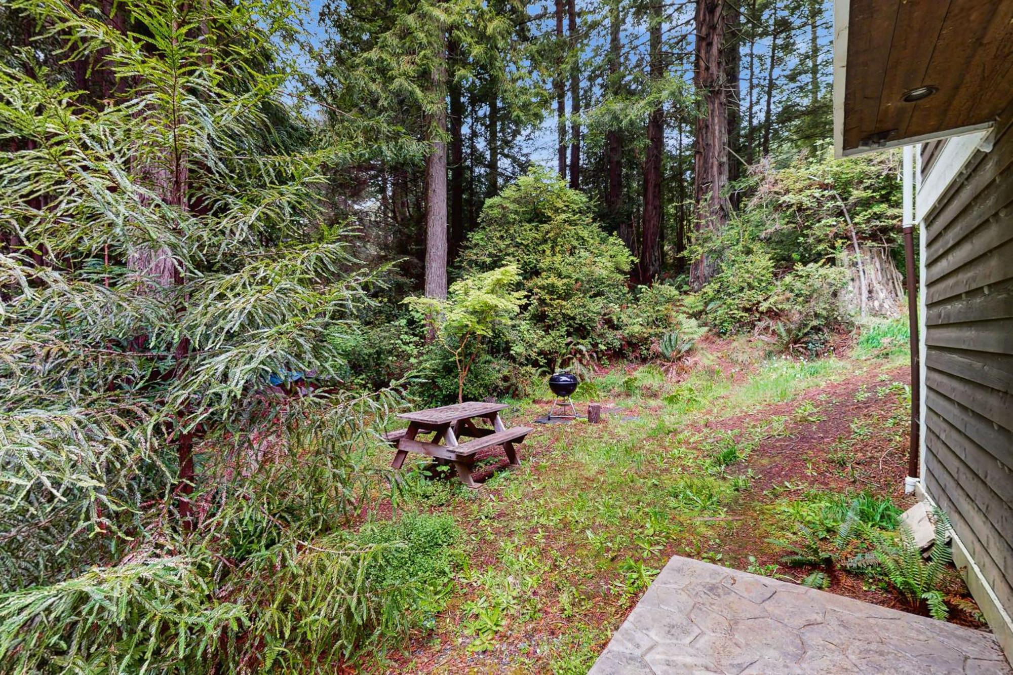 Serene Redwood Retreat Arcata Exterior photo