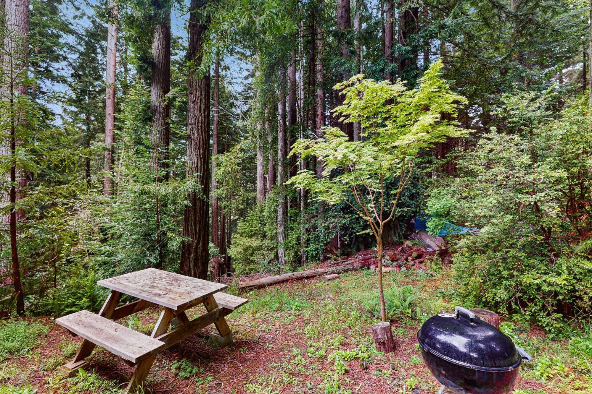 Serene Redwood Retreat Arcata Exterior photo