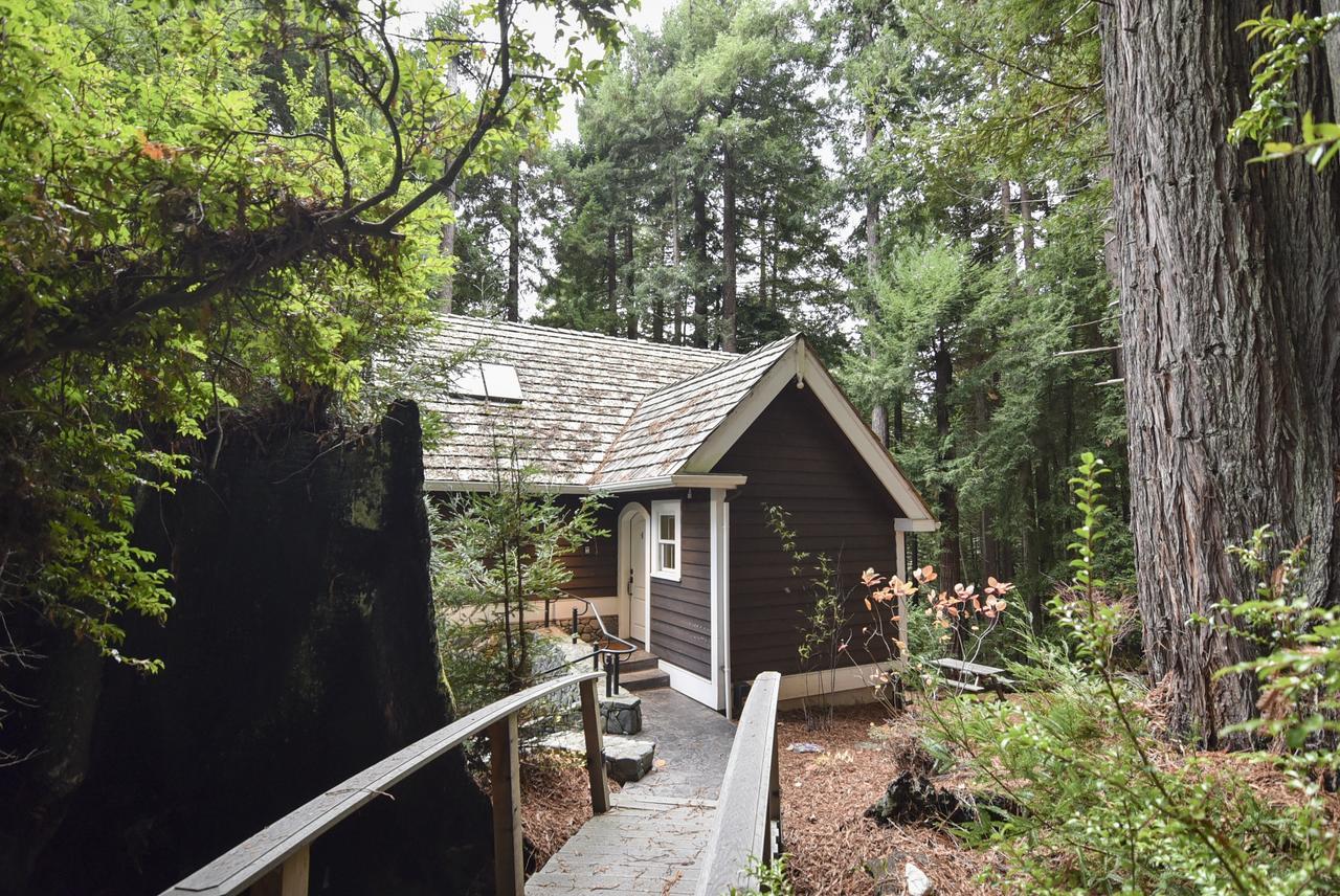 Serene Redwood Retreat Arcata Exterior photo